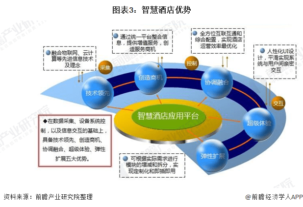 餐饮网站最新概览与全面解读