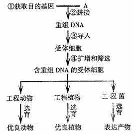 灭菌效果生物/化学指示剂概述