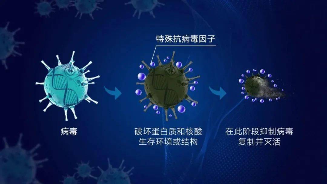 卷材涂料最新动态与深度分析